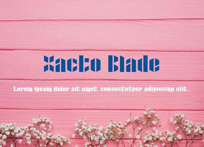 Xacto Blade example